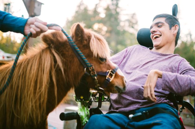 Teen boy with cerebral palsy putting a therapy horse
