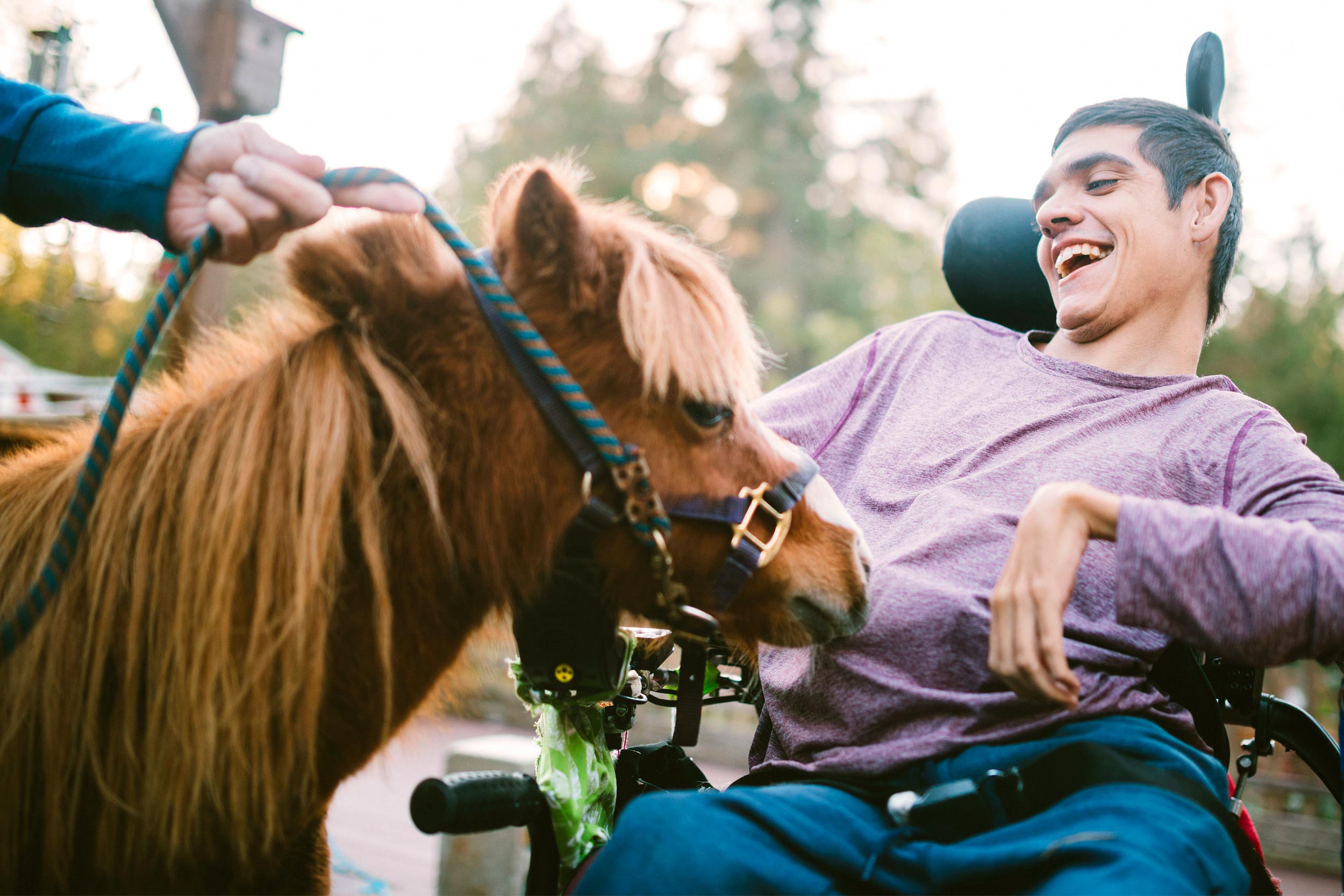 Teen boy with cerebral palsy putting a therapy horse